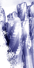 wifan - service